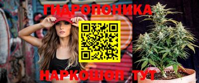 PSILOCYBIN Бугуруслан