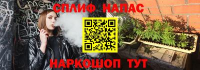 PSILOCYBIN Бугуруслан
